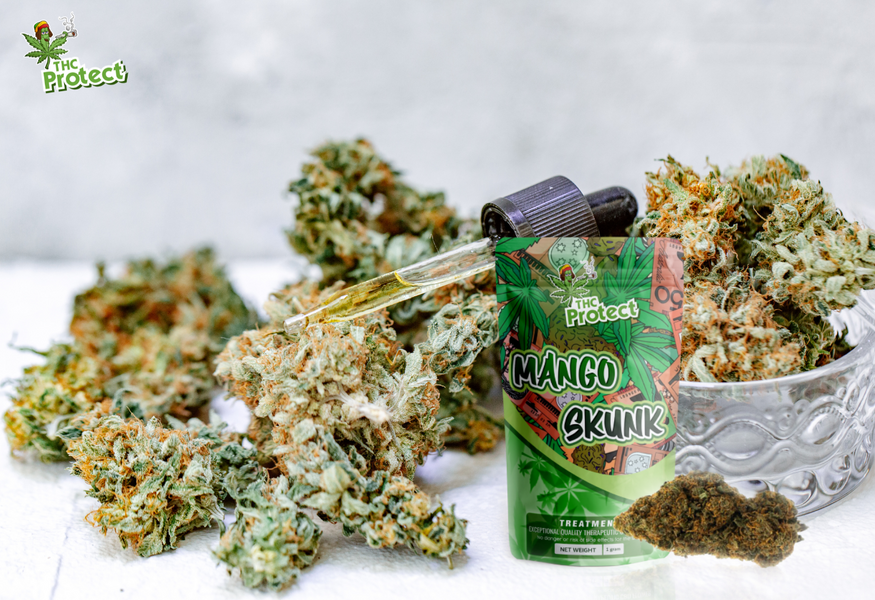 Otkrijte iznimnu snagu cvijeta Mango Skunk CBD